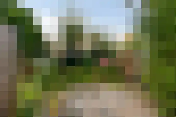 Oud Heinstraat 5 Zaandijk thumbnail 33
