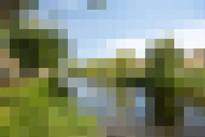 Oud Heinstraat 5 Zaandijk thumbnail 34