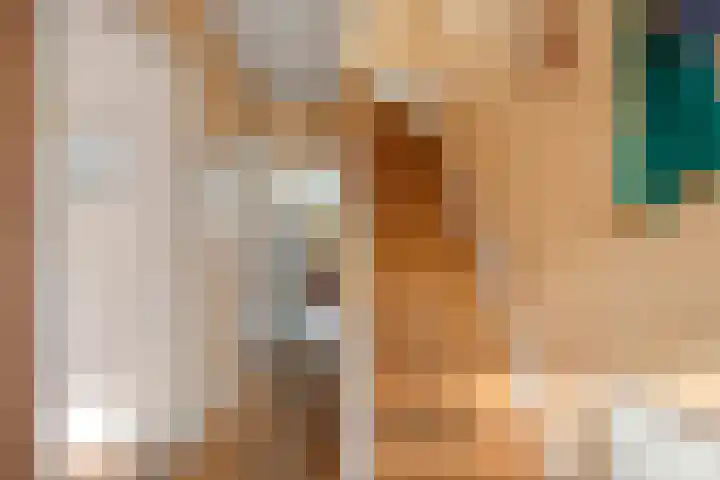 Oud Heinstraat 5 Zaandijk thumbnail 8