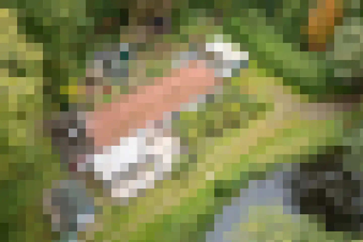 Oud Huizerweg 3 Naarden thumbnail 10