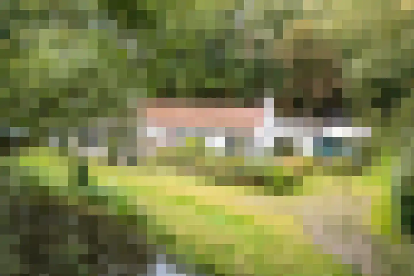 Oud Huizerweg 3 Naarden thumbnail 11