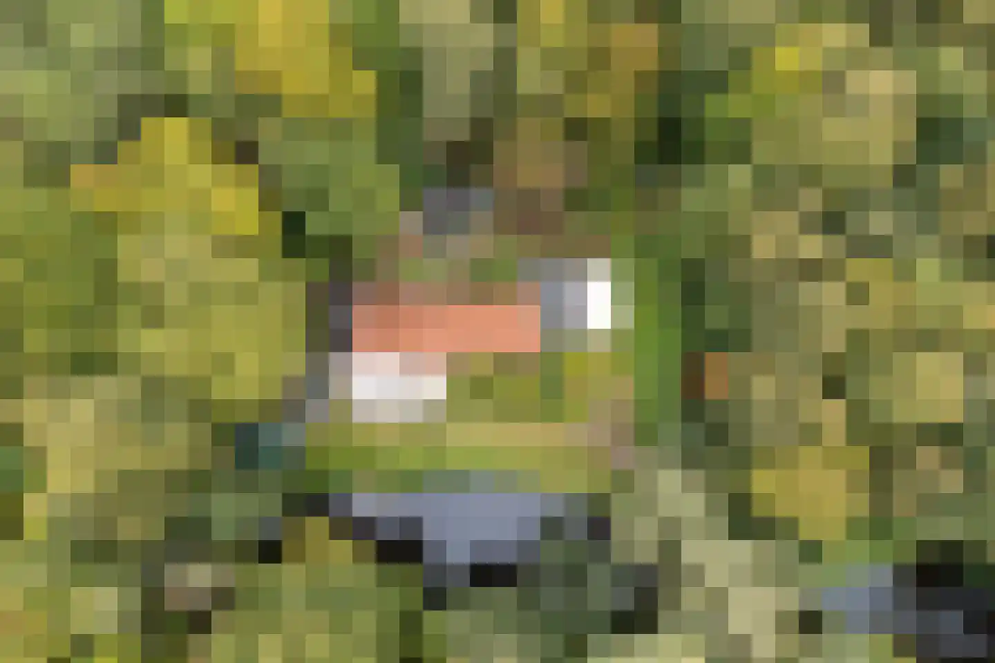 Oud Huizerweg 3 Naarden thumbnail 4