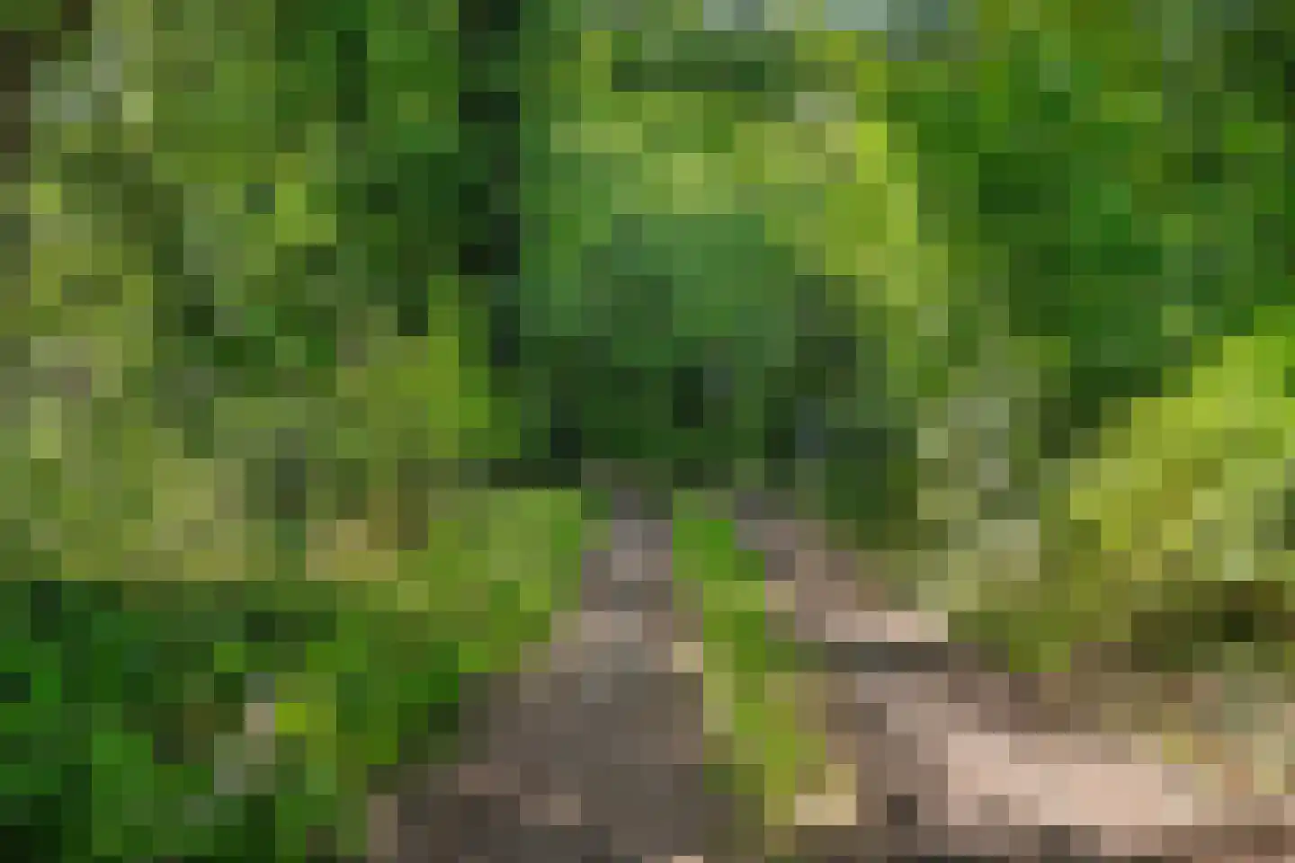 Oud Huizerweg 3 Naarden thumbnail 5