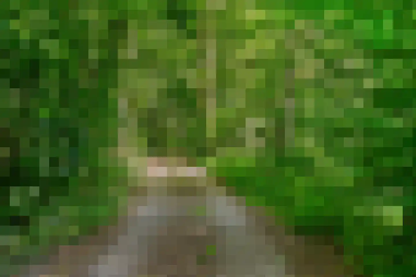 Oud Huizerweg 3 Naarden thumbnail 6