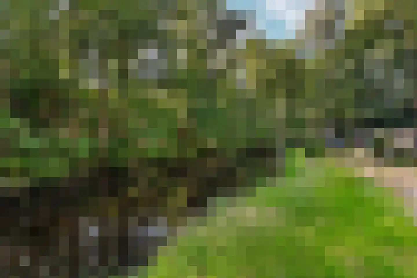 Oud Huizerweg 3 Naarden thumbnail 7