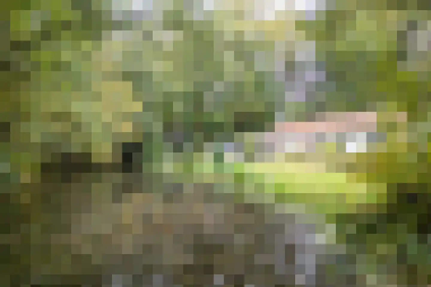 Oud Huizerweg 3 Naarden thumbnail 8