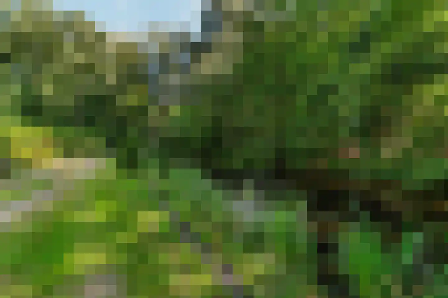 Oud Huizerweg 3 Naarden thumbnail 9