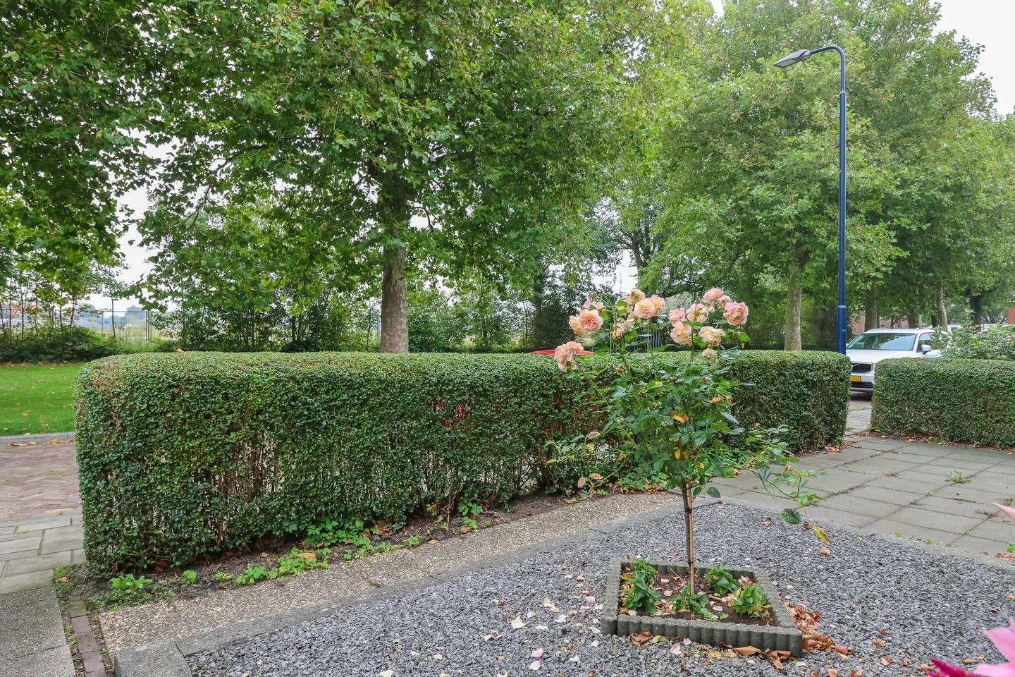 Oud Jaagpad 4 Harlingen thumbnail 6