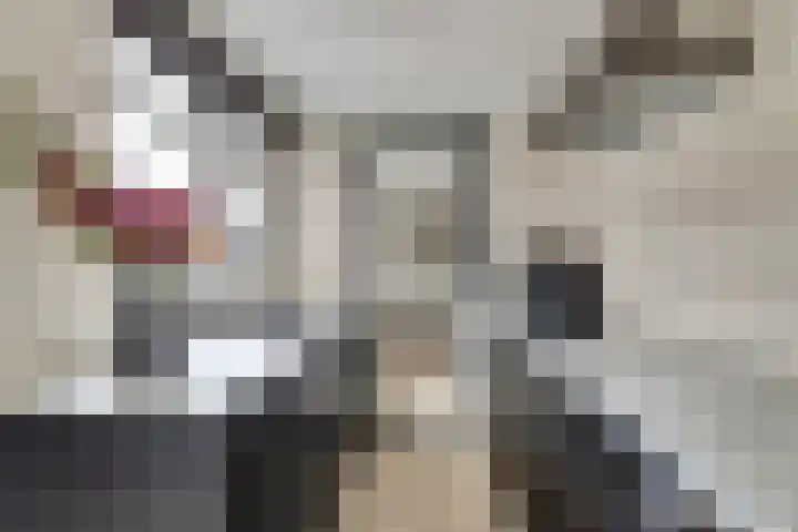 Oud Jaagpad 8 Harlingen thumbnail 10