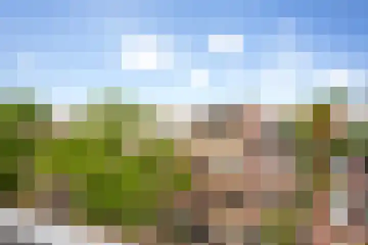 Oud Jaagpad 8 Harlingen thumbnail 12