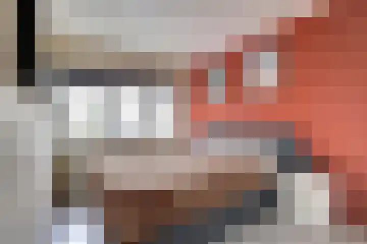 Oud Jaagpad 8 Harlingen thumbnail 16