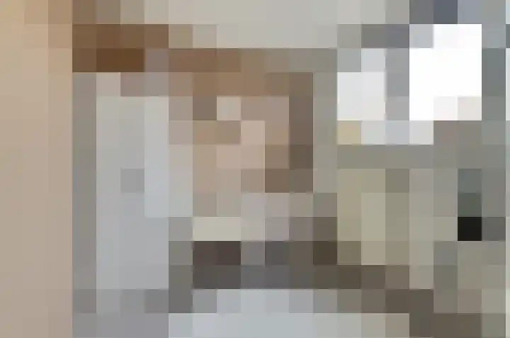 Oud Jaagpad 8 Harlingen thumbnail 18