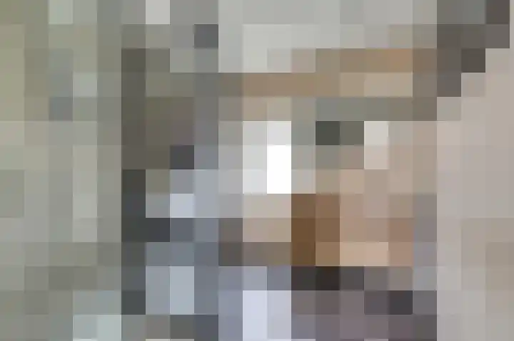 Oud Jaagpad 8 Harlingen thumbnail 20