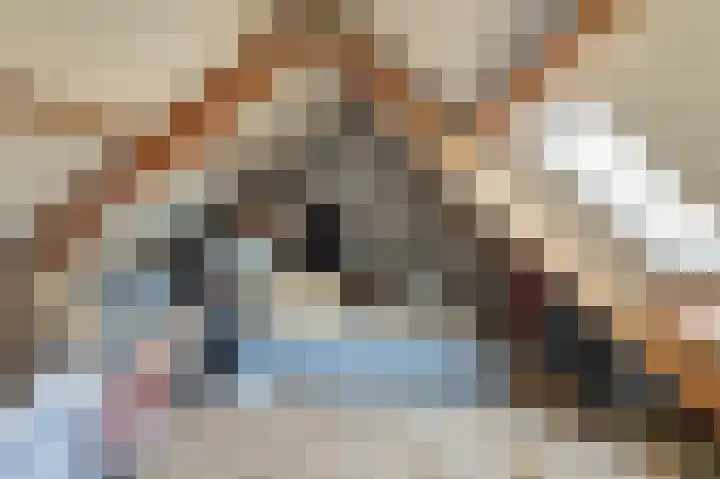 Oud Jaagpad 8 Harlingen thumbnail 22