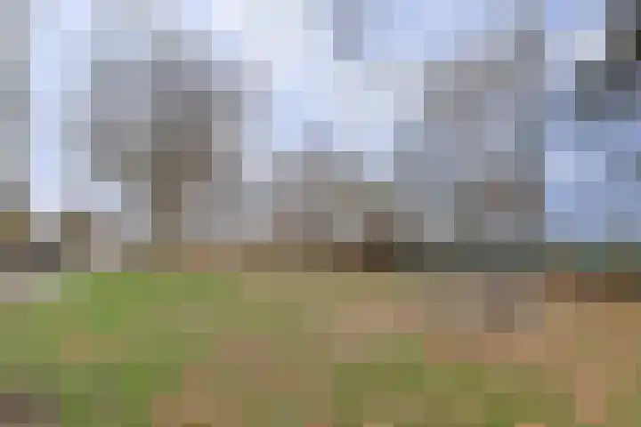 Oud Jaagpad 8 Harlingen thumbnail 23