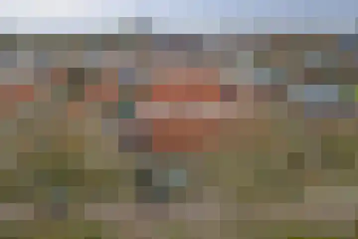 Oud Jaagpad 8 Harlingen thumbnail 31