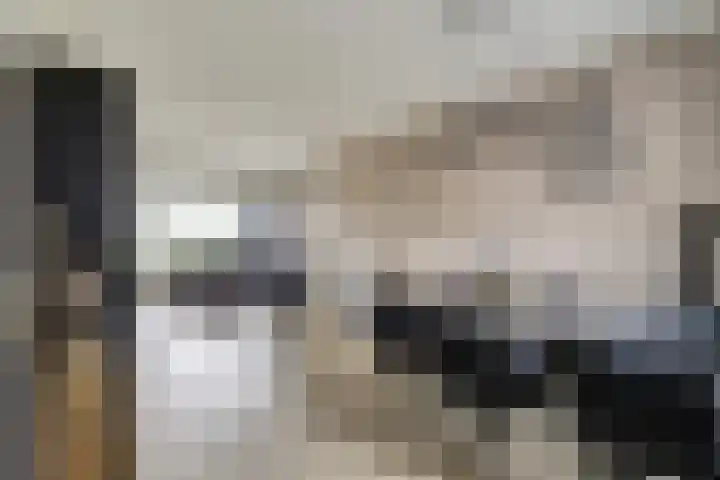 Oud Jaagpad 8 Harlingen thumbnail 5