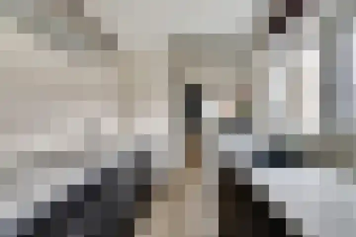 Oud Jaagpad 8 Harlingen thumbnail 8