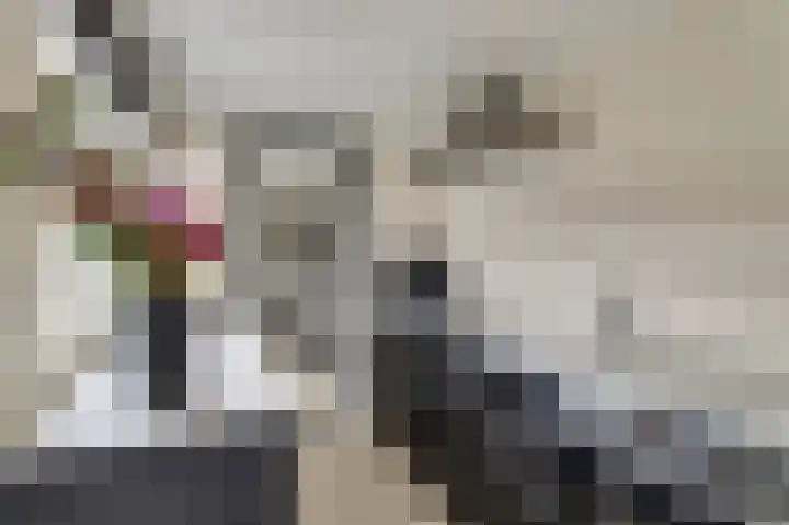Oud Jaagpad 8 Harlingen thumbnail 9
