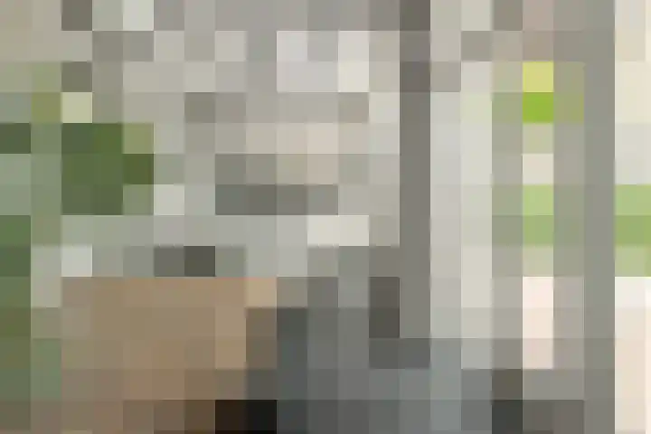 Oud Kaatsveld 27 Franeker thumbnail 15