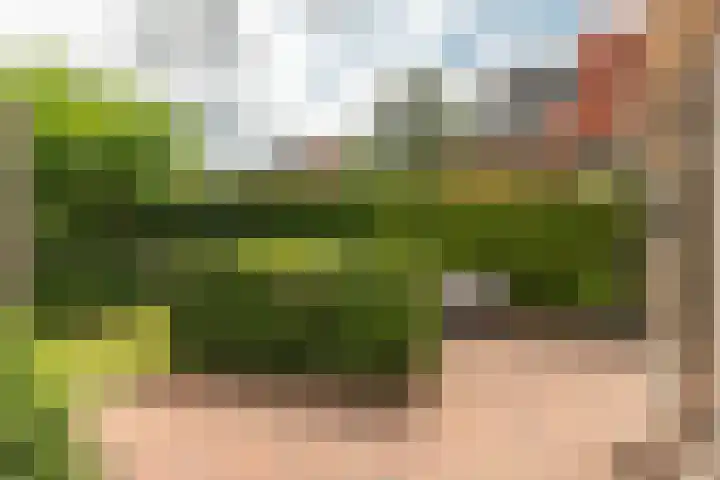 Oud Kaatsveld 27 Franeker thumbnail 39
