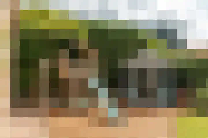 Oud Kaatsveld 27 Franeker thumbnail 42
