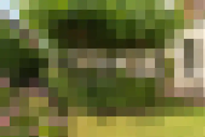Oud Kaatsveld 27 Franeker thumbnail 45