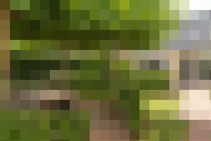 Oud Kaatsveld 27 Franeker thumbnail 46