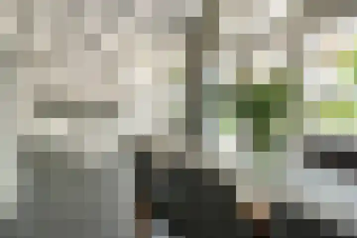 Oud Kaatsveld 27 Franeker thumbnail 5