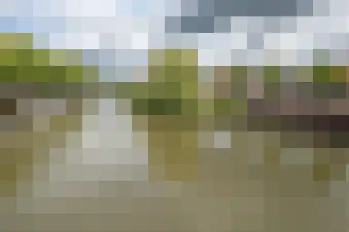 Oud Kaatsveld 27 Franeker thumbnail 55