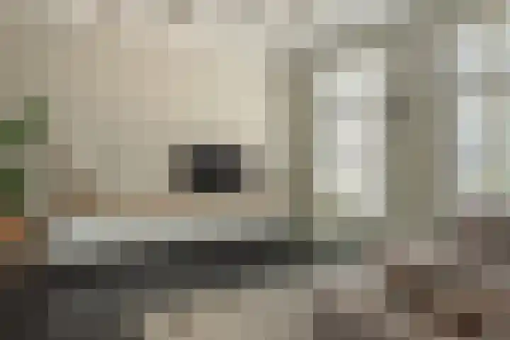 Oud Kaatsveld 27 Franeker thumbnail 8