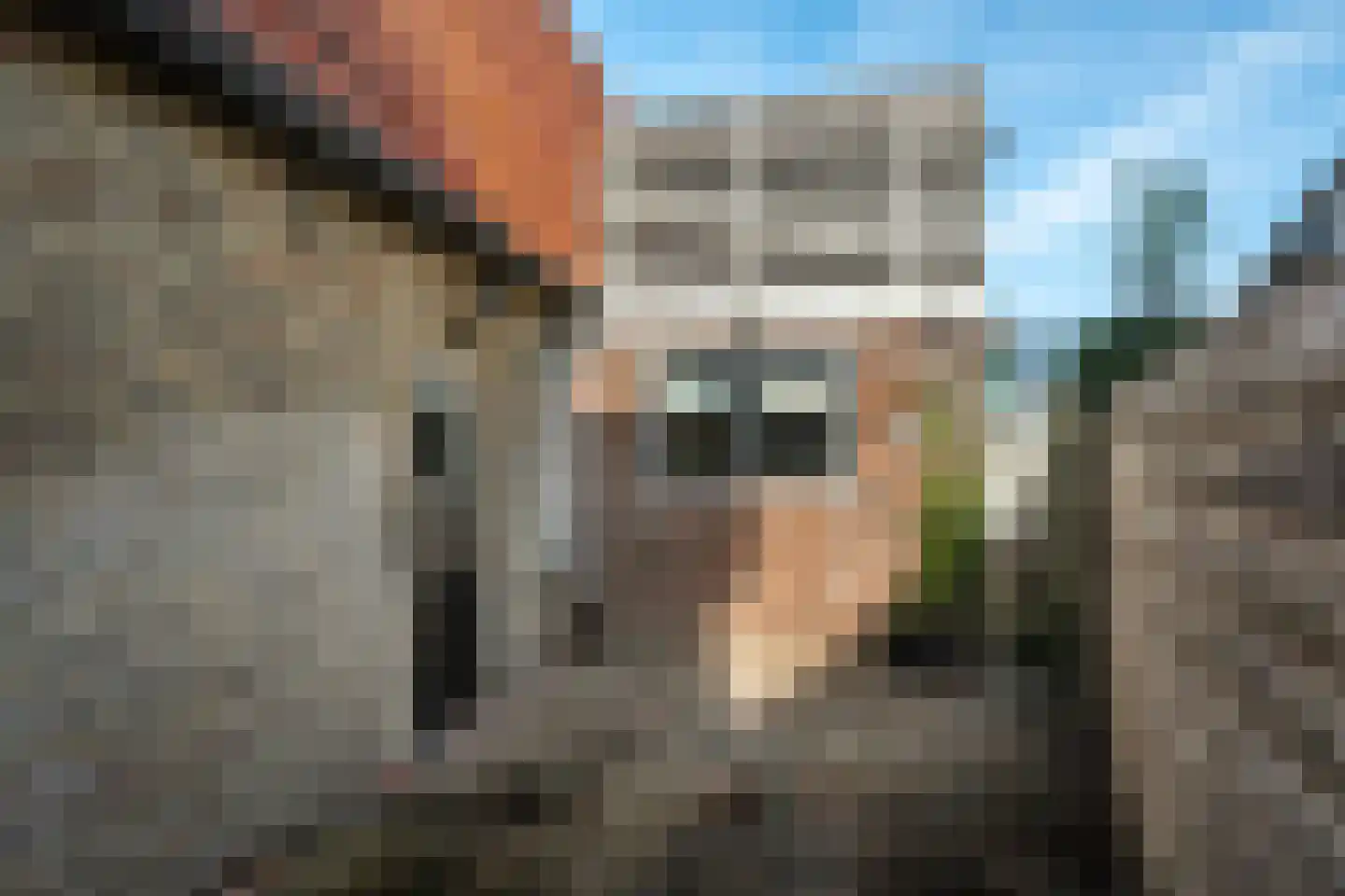 Oud Kaatsveld 5 Franeker thumbnail 16
