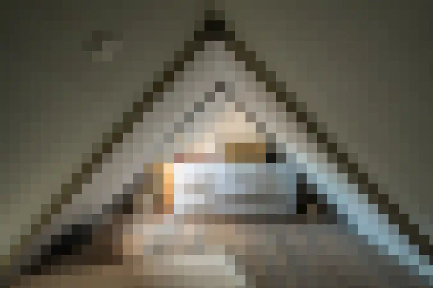 Oud Kaatsveld 5 Franeker thumbnail 35