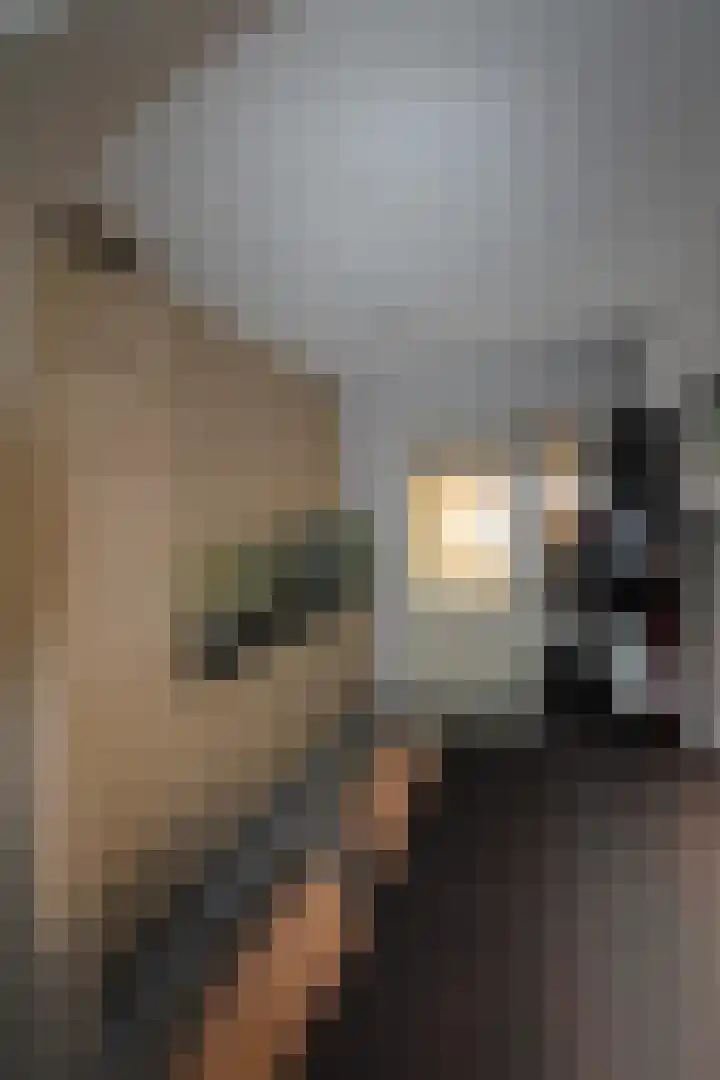 Oud Kerkpad 1 B Schijf thumbnail 10