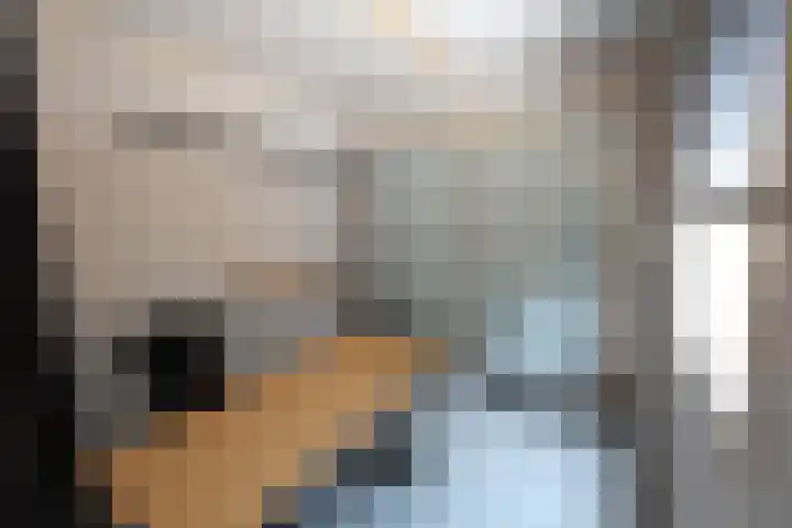 Oud Kerkpad 1 B Schijf thumbnail 16