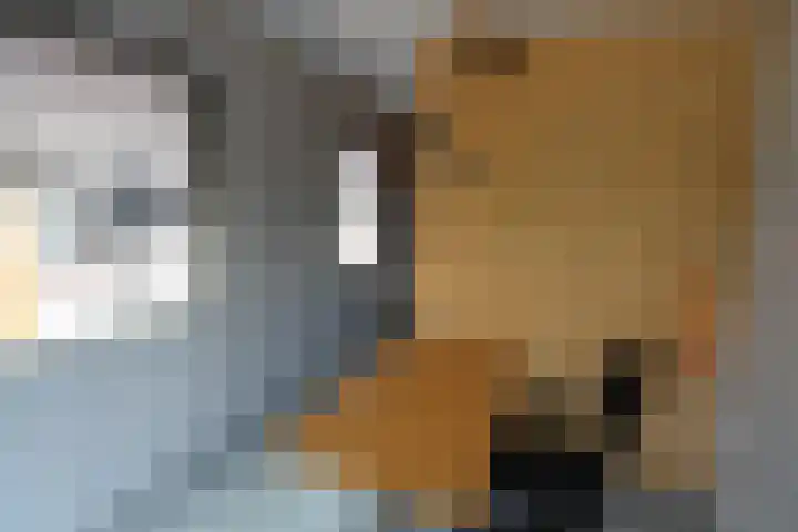 Oud Kerkpad 1 B Schijf thumbnail 17