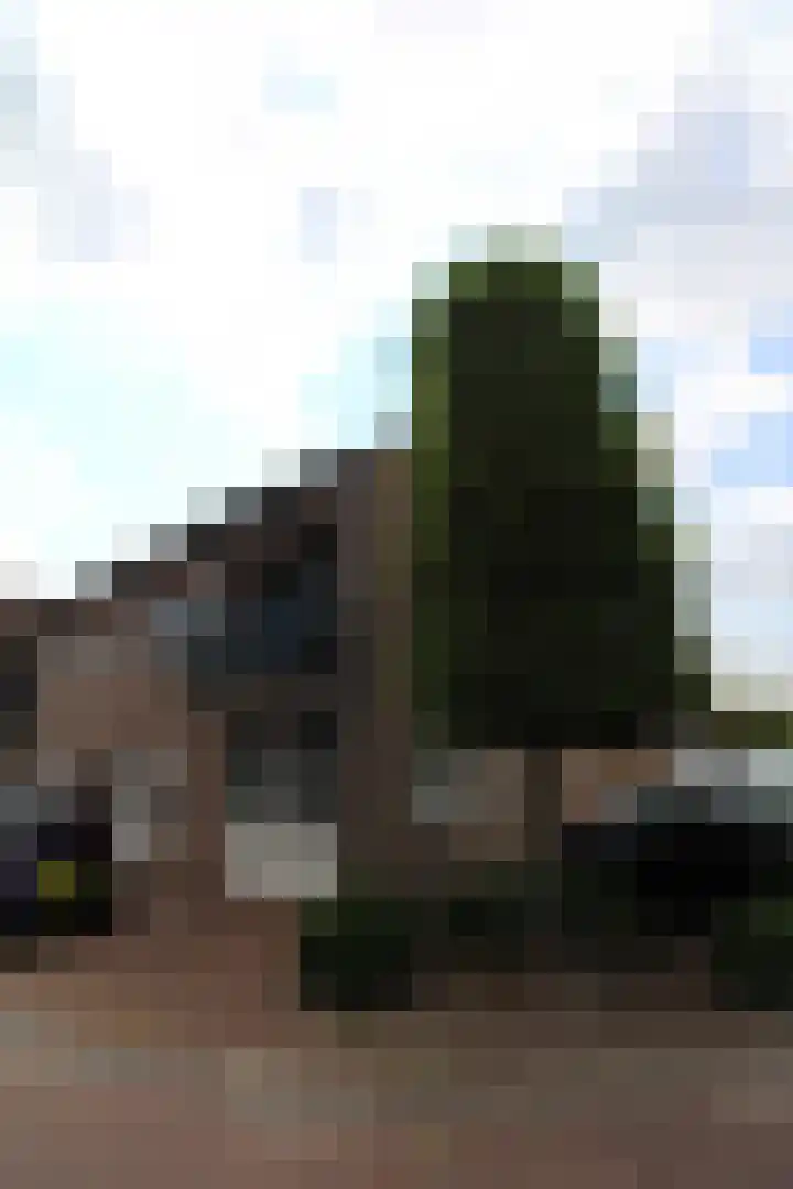 Oud Kerkpad 1 B Schijf thumbnail 19