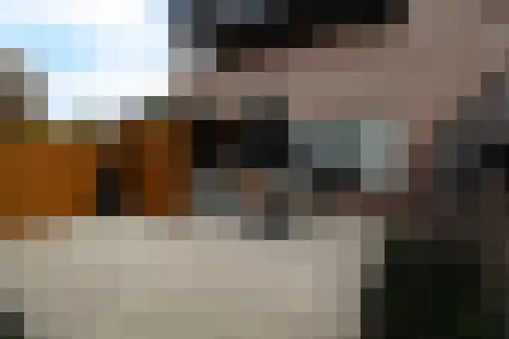 Oud Kerkpad 1 B Schijf thumbnail 4