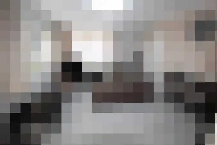 Oud Kerkpad 1 B Schijf thumbnail 5