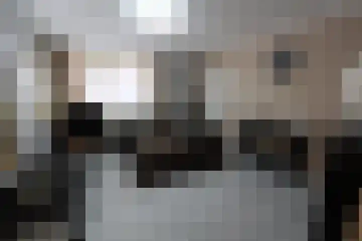 Oud Kerkpad 1 B Schijf thumbnail 6