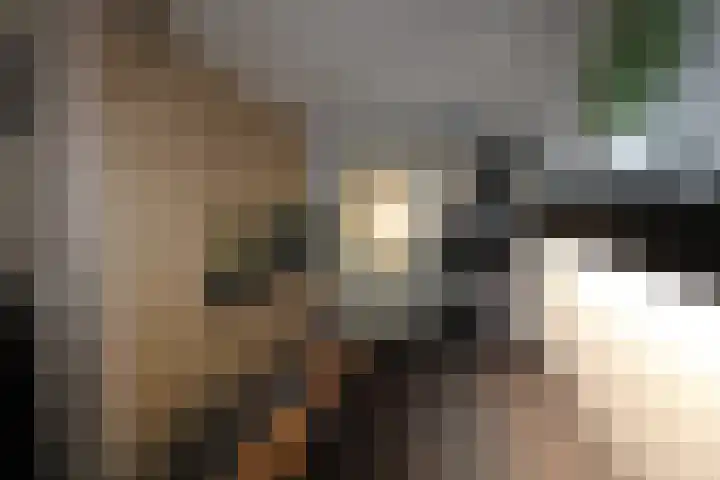 Oud Kerkpad 1 B Schijf thumbnail 9