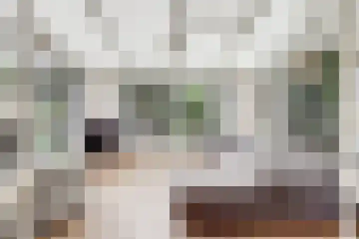 Oud Kerkpad 3 Schijf thumbnail 29