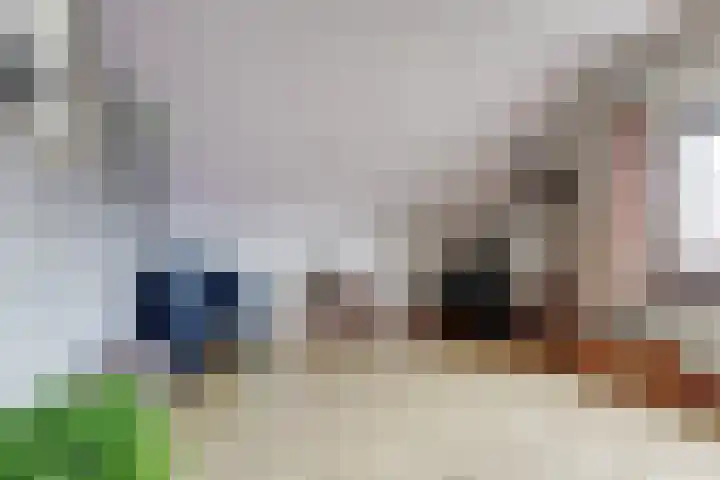 Oud Kerkpad 3 Schijf thumbnail 35