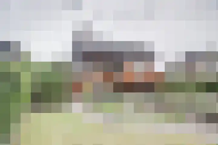Oud Kerkpad 3 Schijf thumbnail 4
