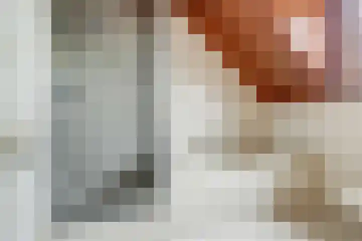 Oud Kerkpad 3 Schijf thumbnail 42