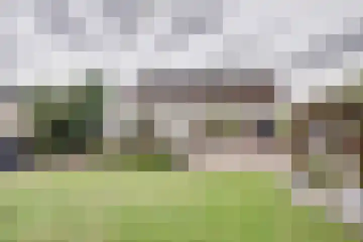 Oud Kerkpad 3 Schijf thumbnail 48