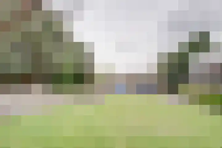 Oud Kerkpad 3 Schijf thumbnail 49