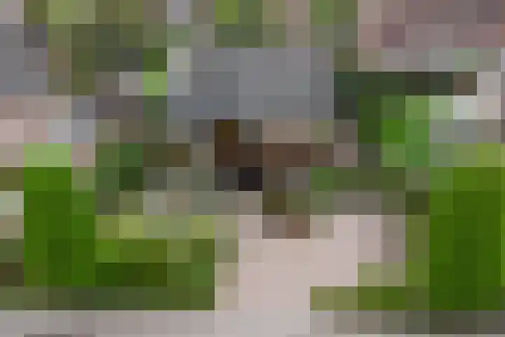 Oud Kerkpad 3 Schijf thumbnail 5