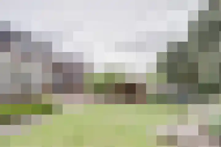 Oud Kerkpad 3 Schijf thumbnail 50