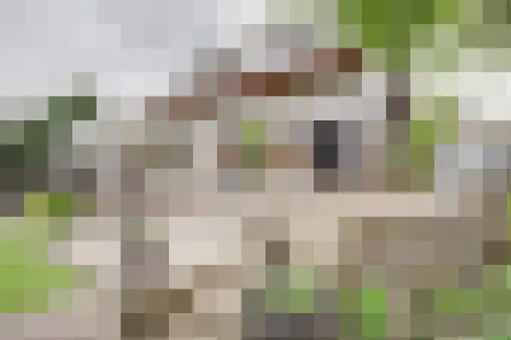 Oud Kerkpad 3 Schijf thumbnail 53